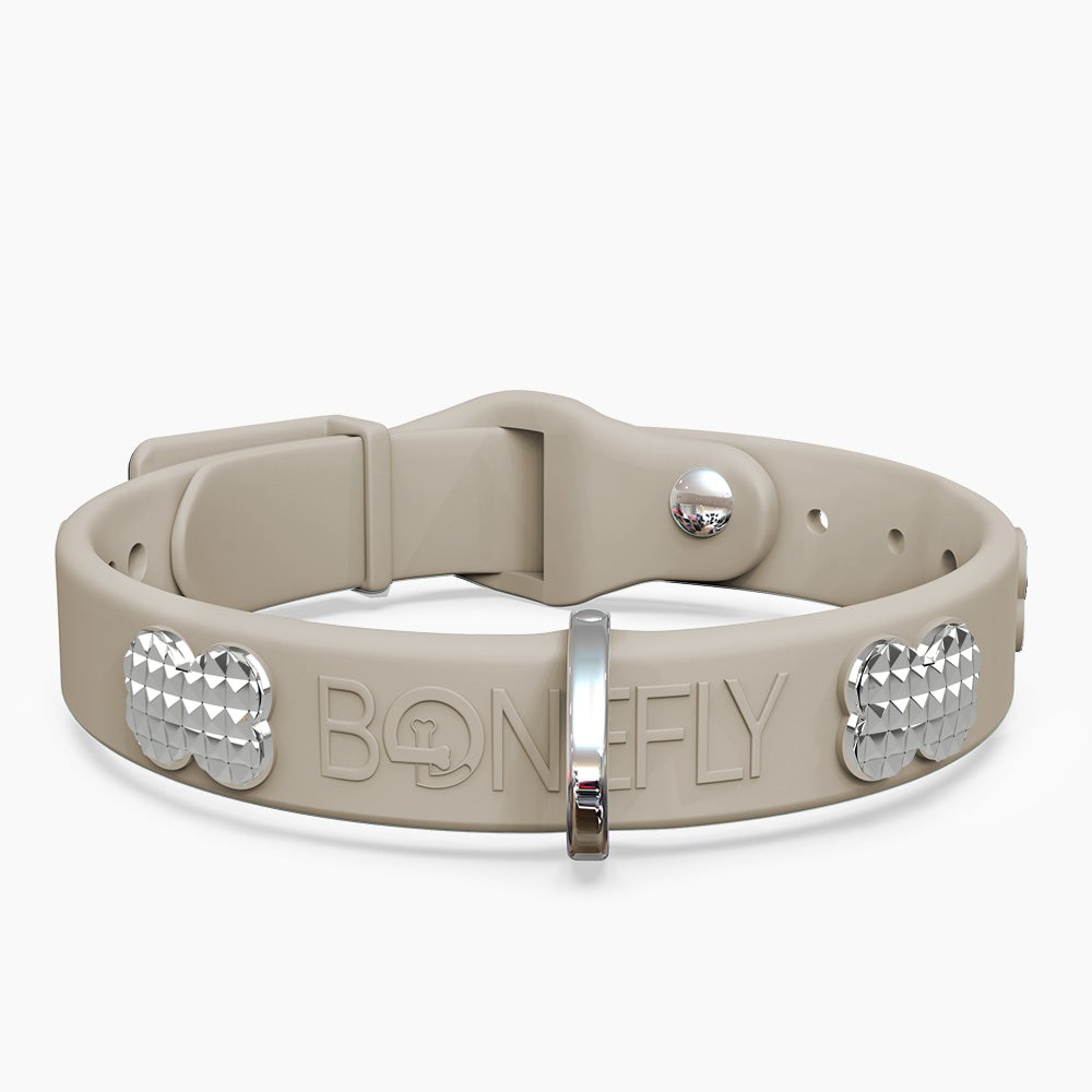 Boneflex Signature Spike Silver Collar